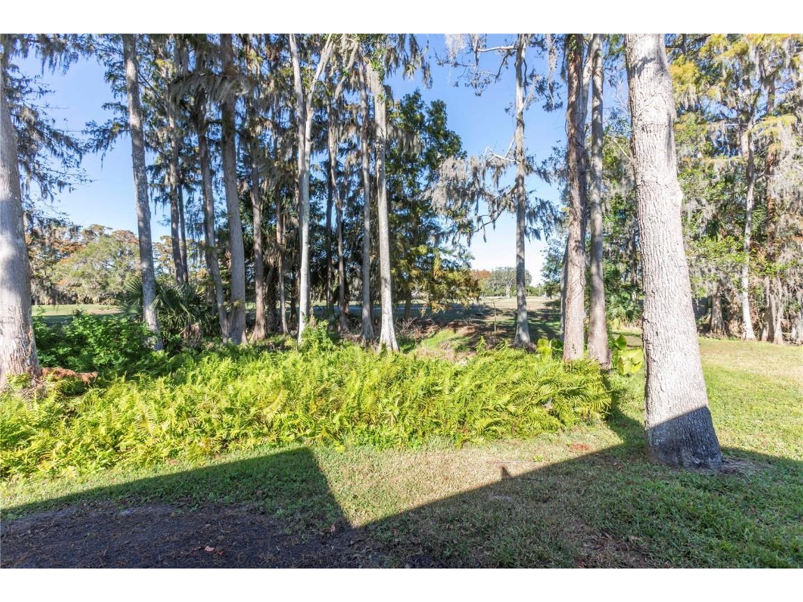 3275 Lori Lane New Port Richey FL 34655 W7881068 image31