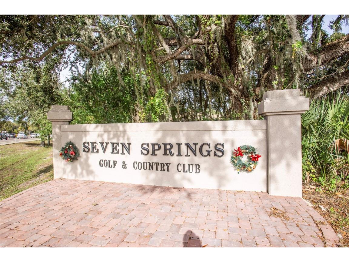 3275 Lori Lane New Port Richey FL 34655 W7881068 image38