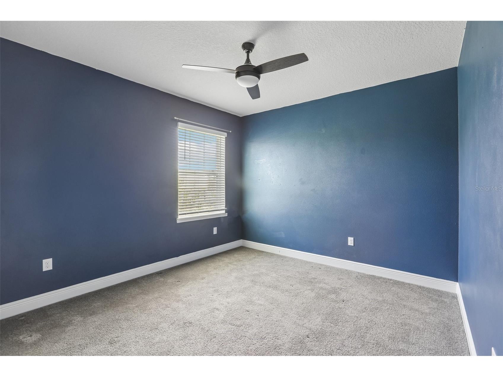 3275 Tour Trace Land O Lakes FL 34638 W7886762 image37