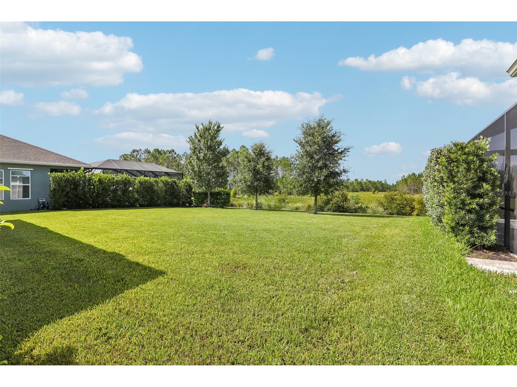 3275 Tour Trace Land O Lakes FL 34638 W7886762 image5