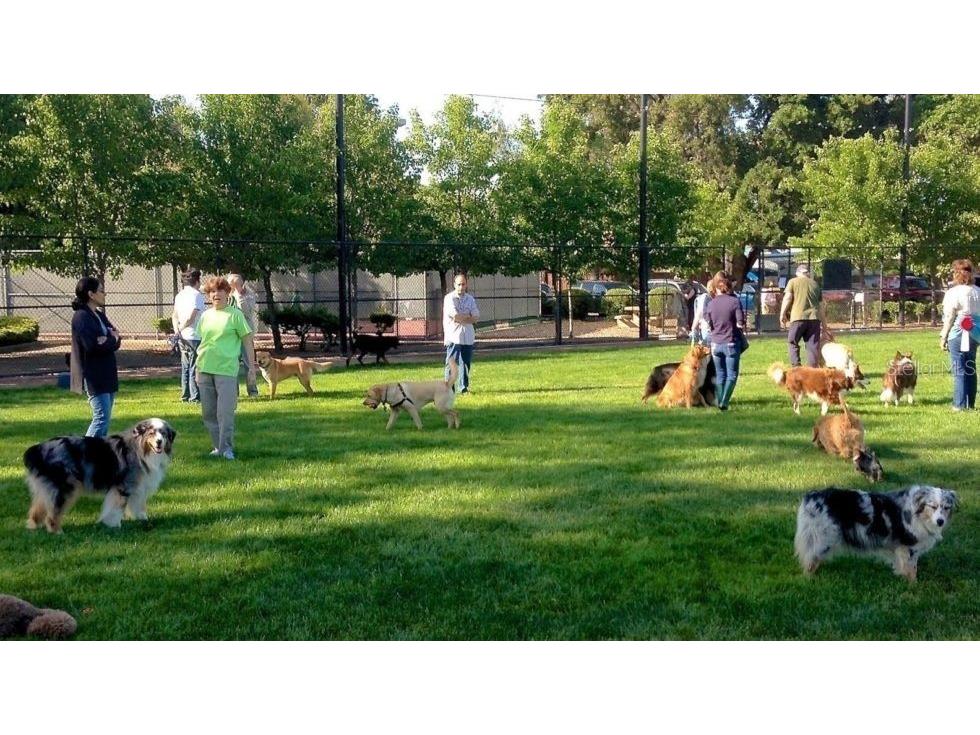 3275 W Daffodil Drive Beverly Hills FL 34465 TB8432348 image64