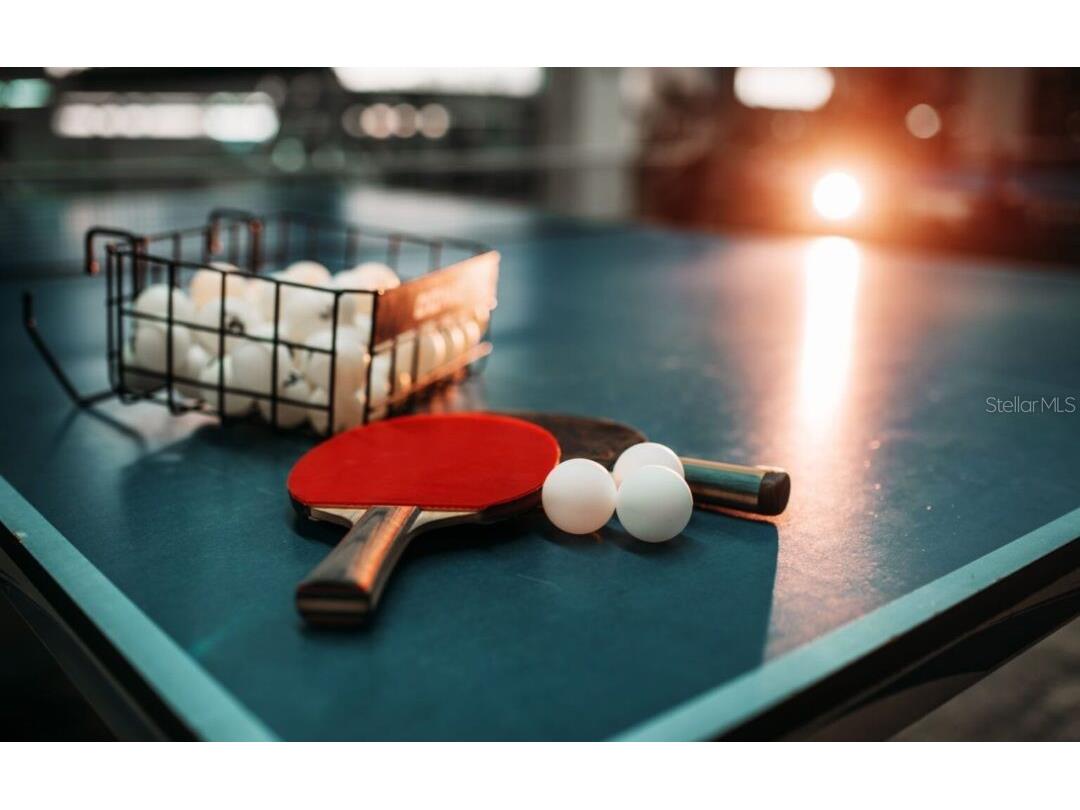 3275 W Daffodil Drive Beverly Hills FL 34465 TB8432348 image66