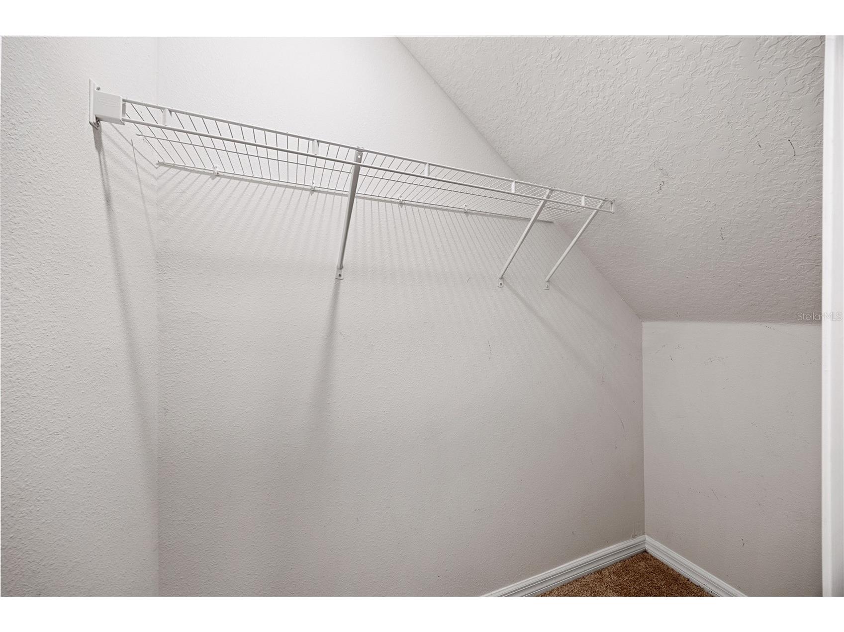 32756 Ansley Bloom Lane Wesley Chapel FL 33543 TB8469113 image22