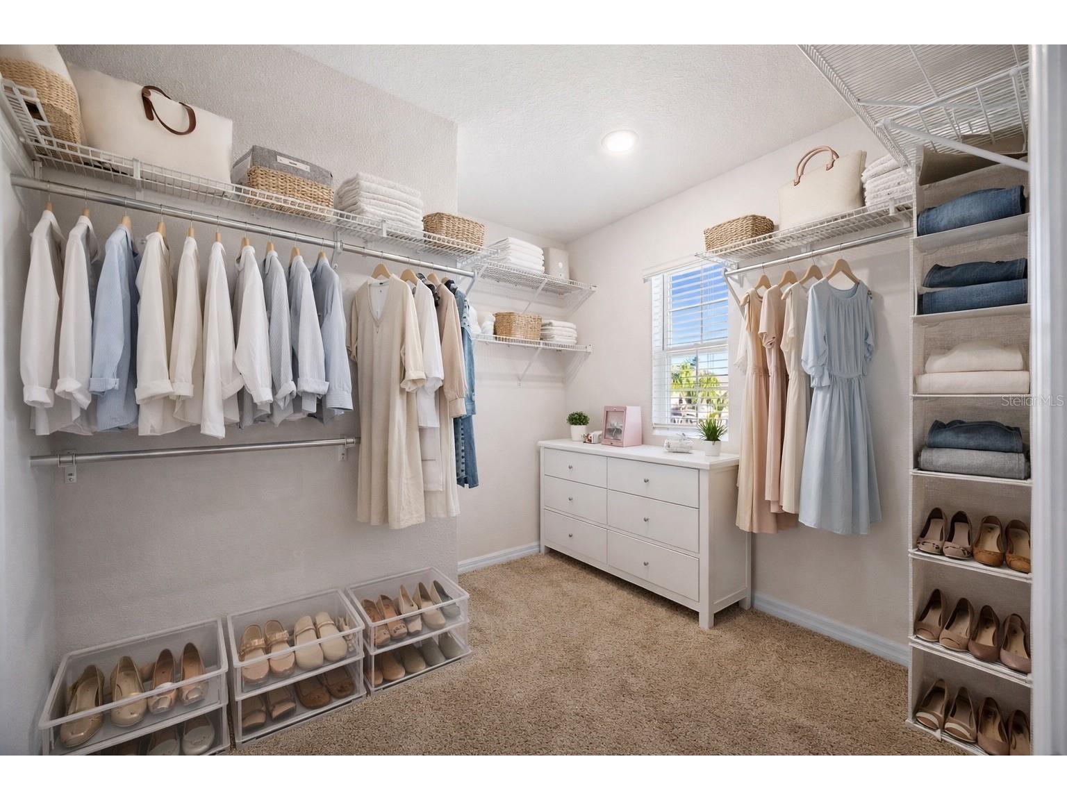 32756 Ansley Bloom Lane Wesley Chapel FL 33543 TB8469113 image30