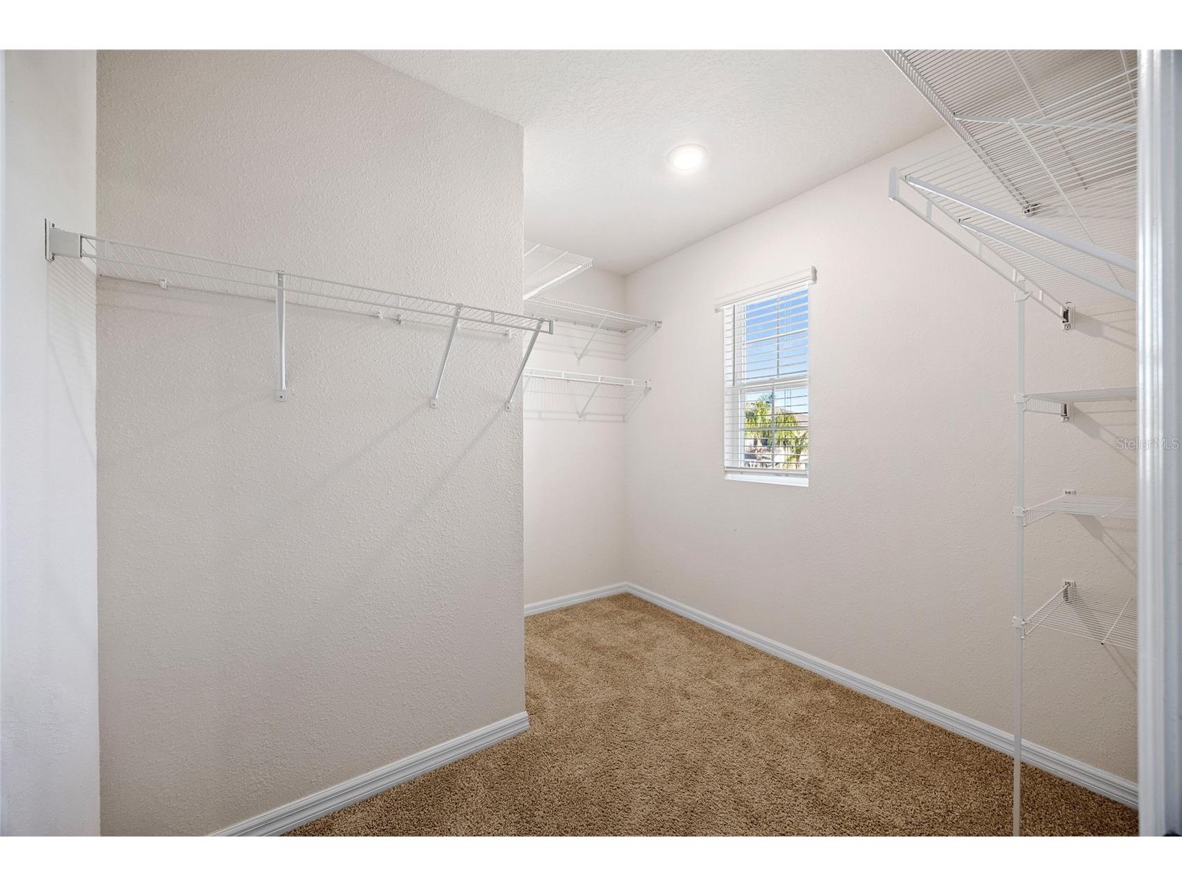 32756 Ansley Bloom Lane Wesley Chapel FL 33543 TB8469113 image31