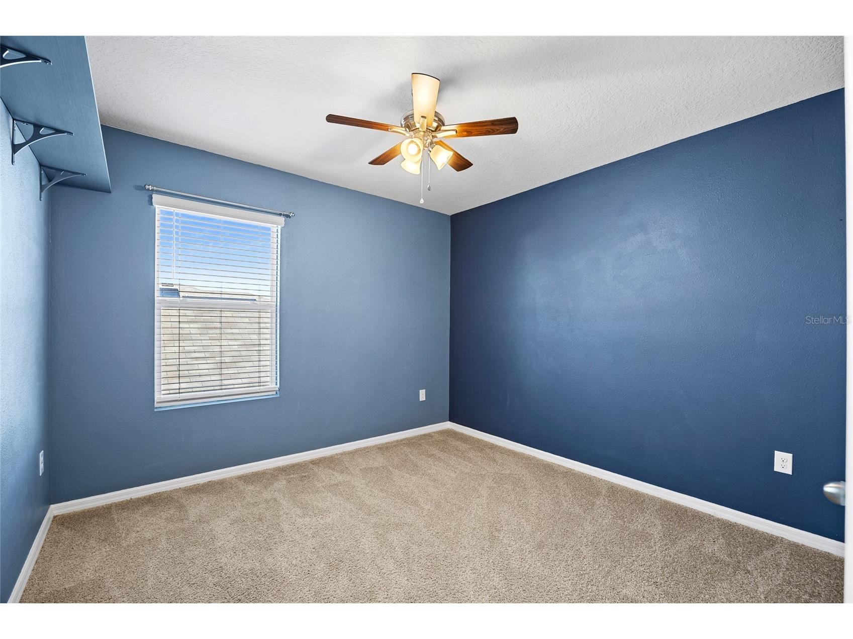 32756 Ansley Bloom Lane Wesley Chapel FL 33543 TB8469113 image38