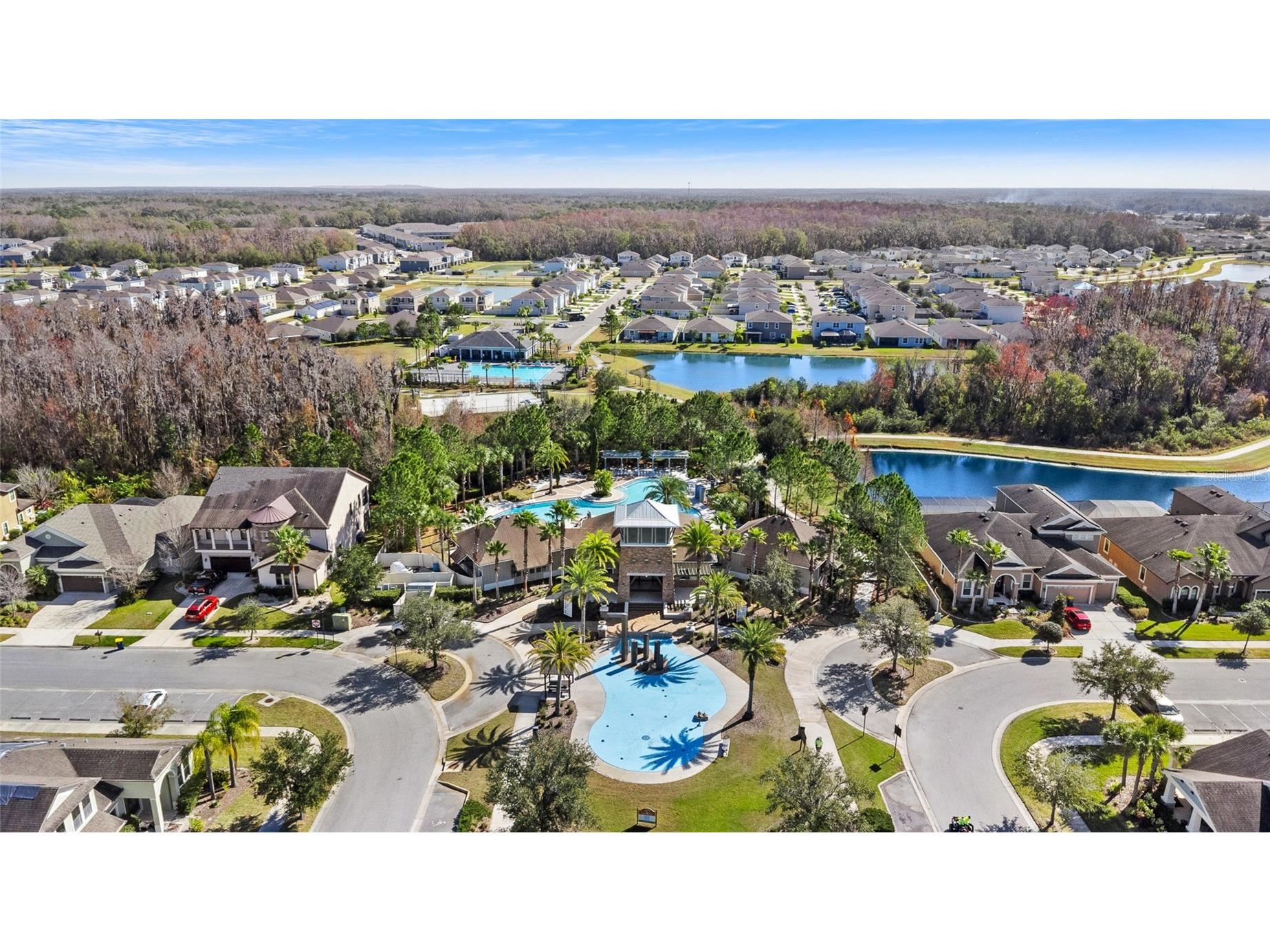32756 Ansley Bloom Lane Wesley Chapel FL 33543 TB8469113 image49