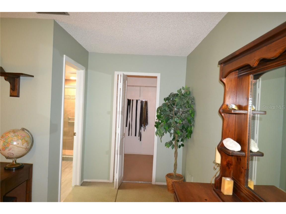 3276 Buckhorn Drive Clearwater FL 33761 TB8448758 image14