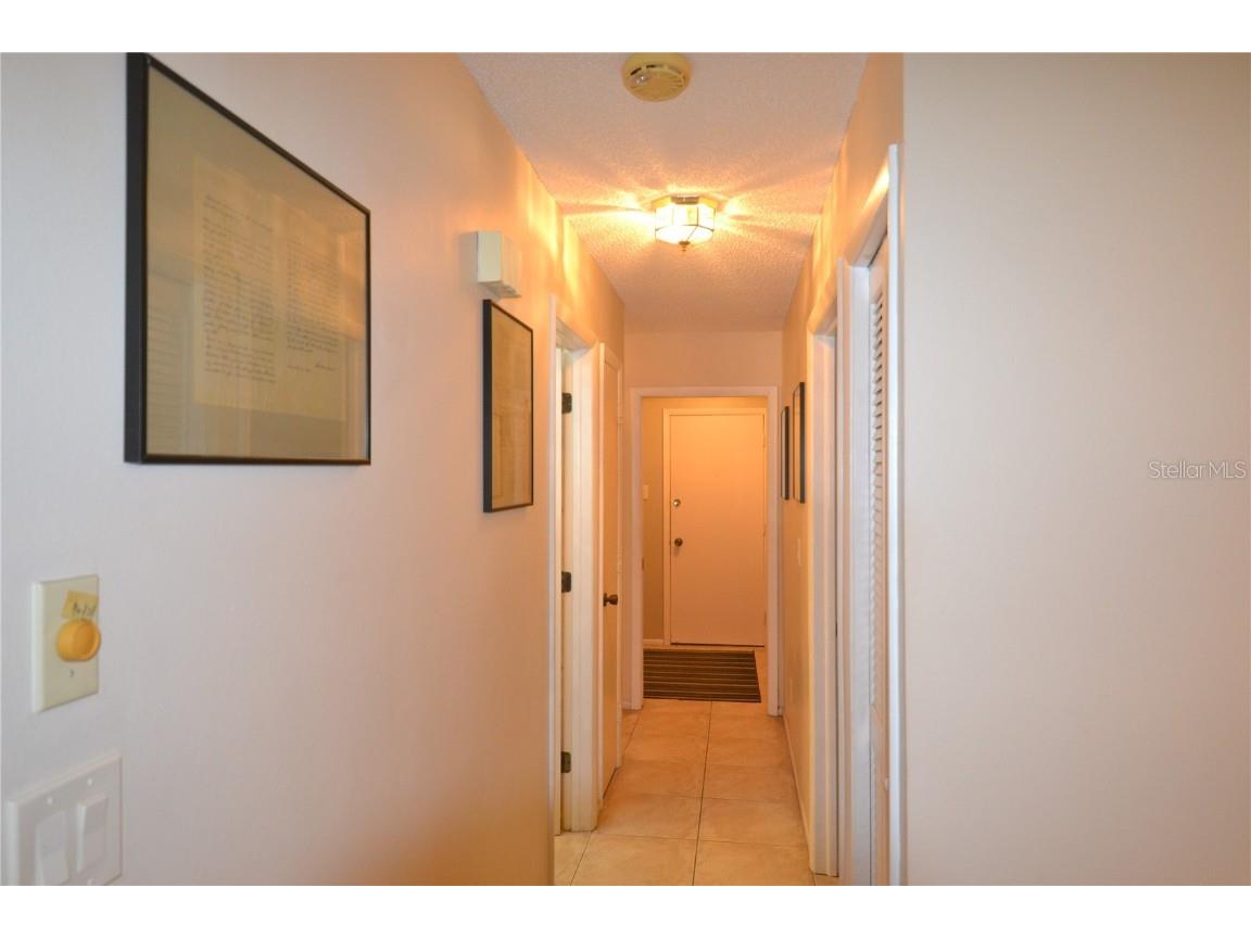 3276 Buckhorn Drive Clearwater FL 33761 TB8448758 image28