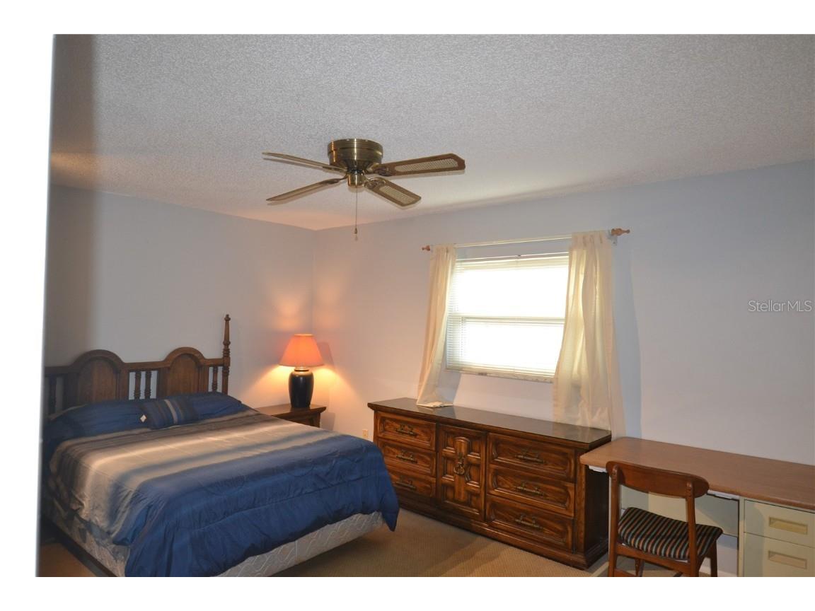 3276 Buckhorn Drive Clearwater FL 33761 TB8448758 image33