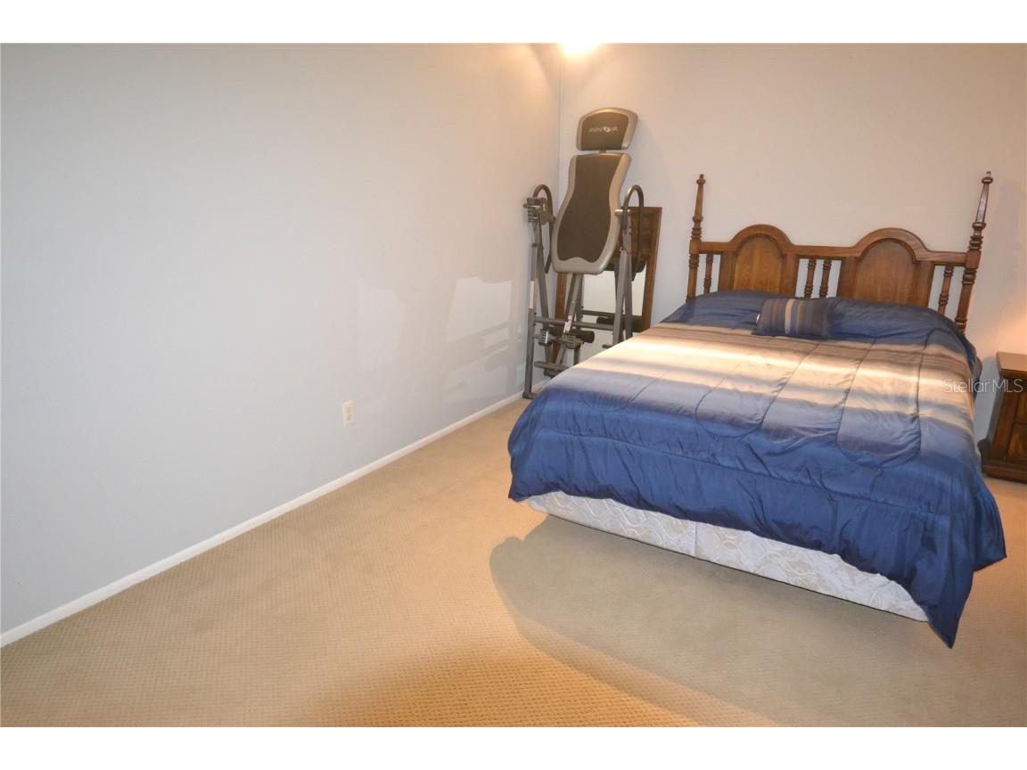 3276 Buckhorn Drive Clearwater FL 33761 TB8448758 image34