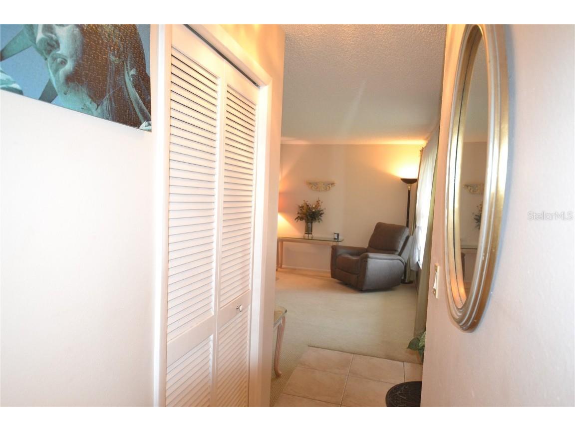 3276 Buckhorn Drive Clearwater FL 33761 TB8448758 image39