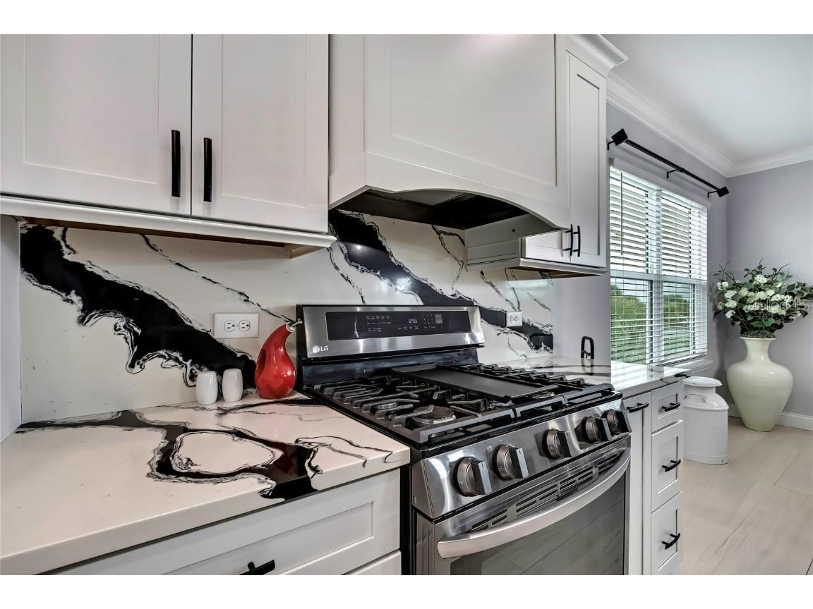 3276 Sea Grape Drive Hernando Beach FL 34607 TB8426862 image16