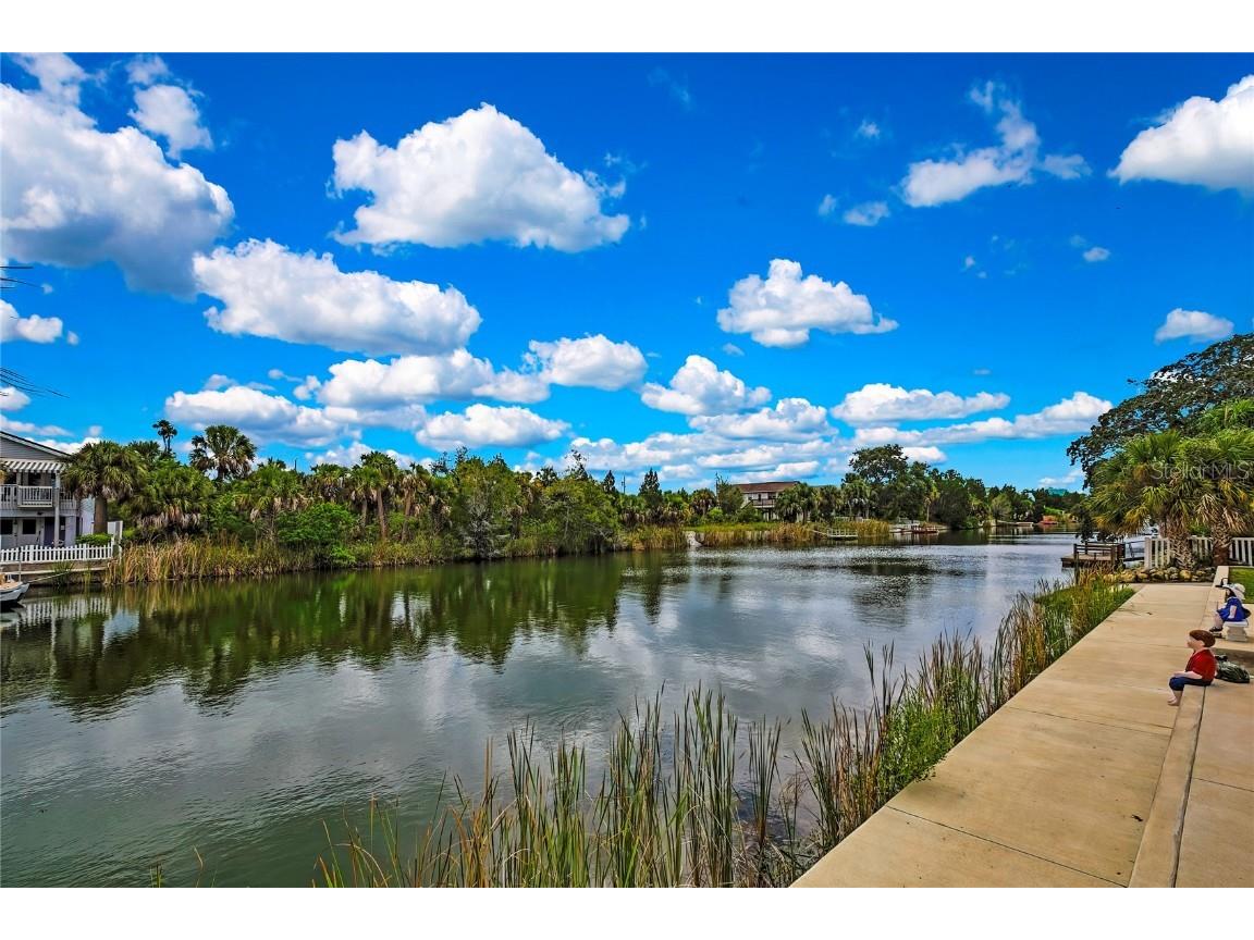 3276 Sea Grape Drive Hernando Beach FL 34607 TB8426862 image44