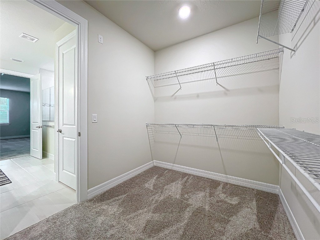 3276 Windbeam Court Winter Garden FL 34787 S5137013 image33