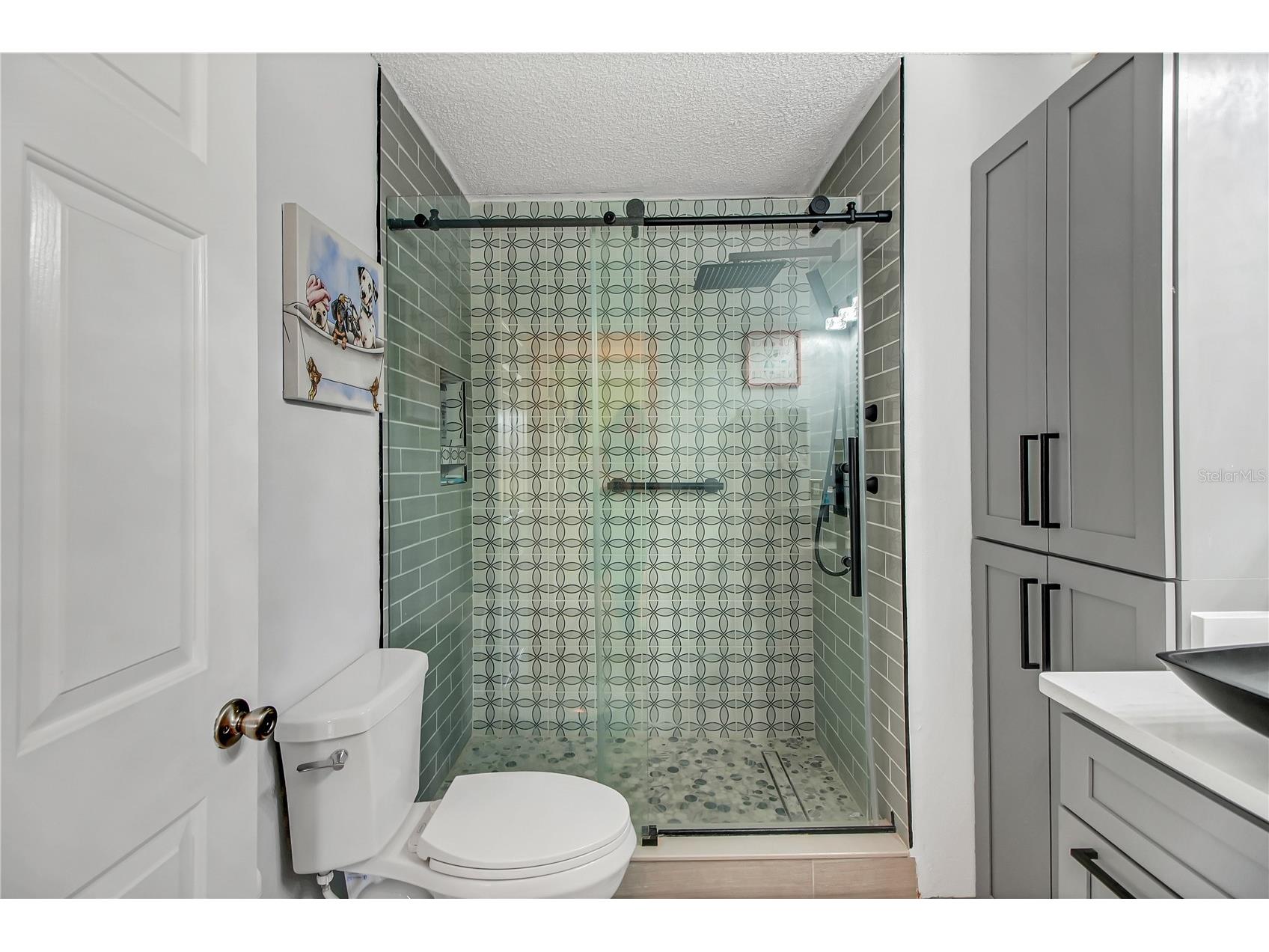 3277 Ashbrook Place The Villages FL 32162 G5107439 image28