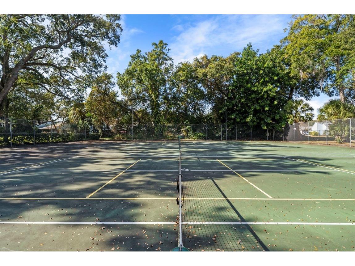 3277 Fox Chase Circle N #105 Palm Harbor FL 34683 TB8451048 image35