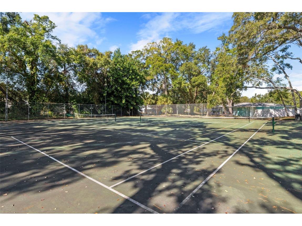 3277 Fox Chase Circle N #105 Palm Harbor FL 34683 TB8451048 image36