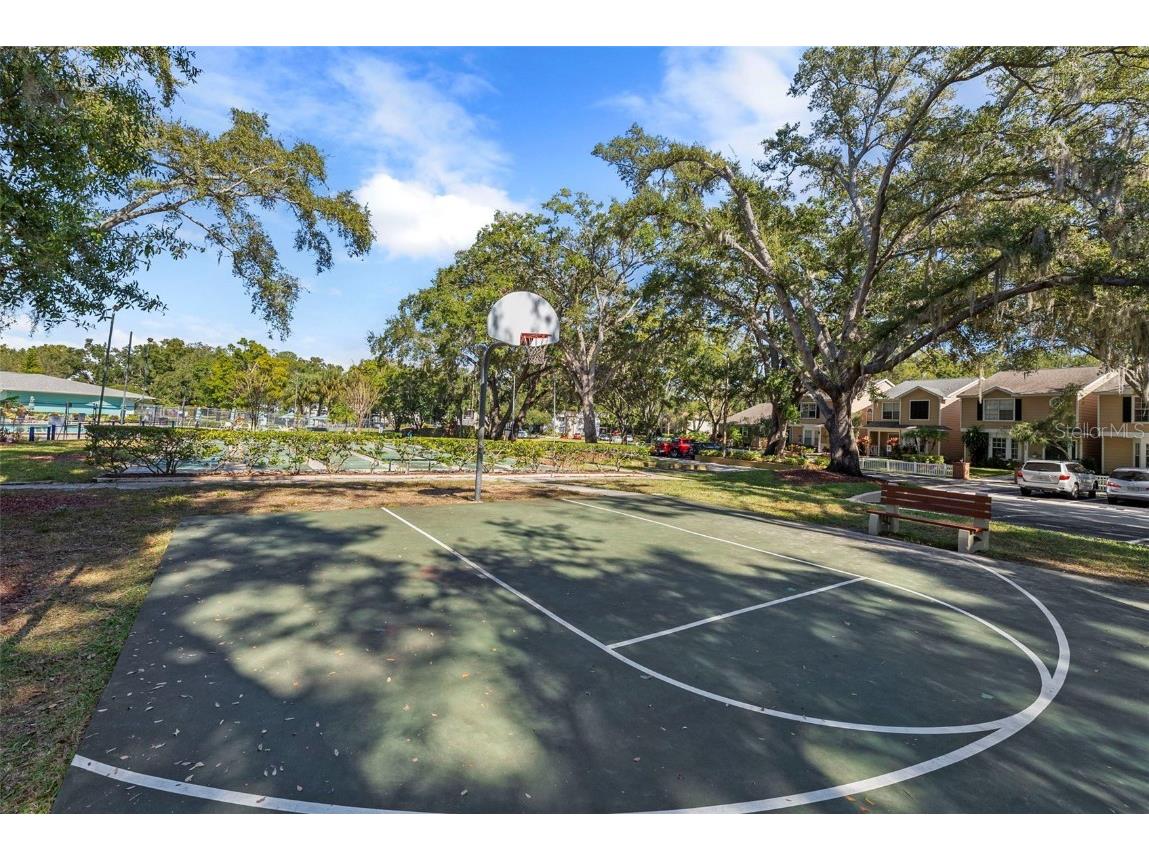 3277 Fox Chase Circle N #105 Palm Harbor FL 34683 TB8451048 image37