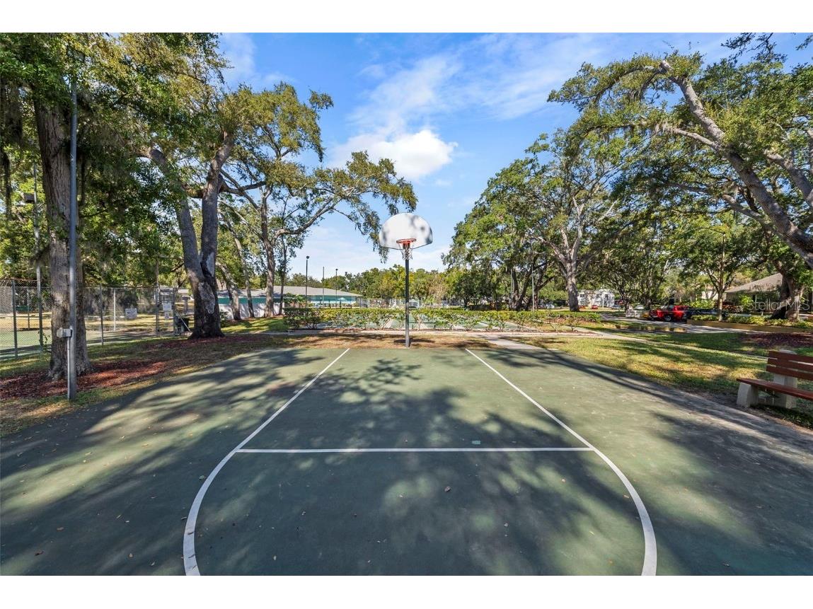 3277 Fox Chase Circle N #105 Palm Harbor FL 34683 TB8451048 image38