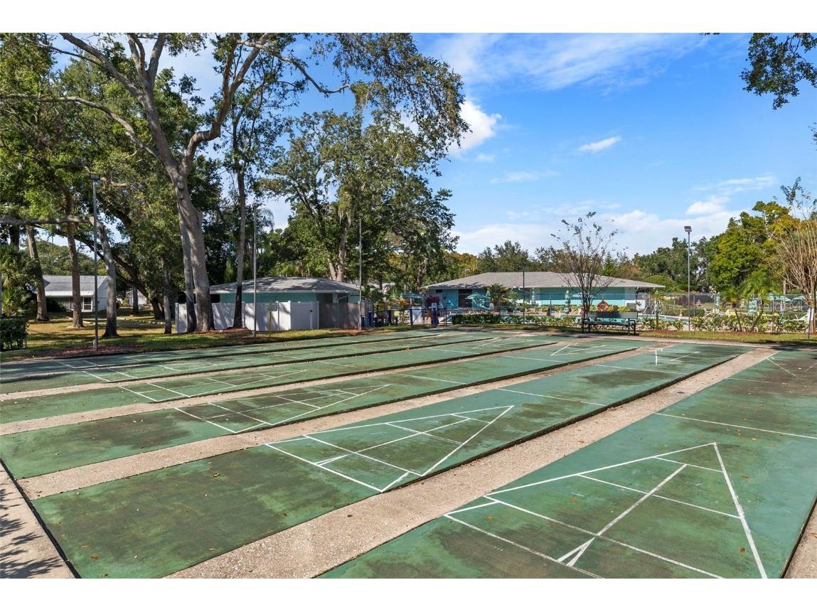 3277 Fox Chase Circle N #105 Palm Harbor FL 34683 TB8451048 image41