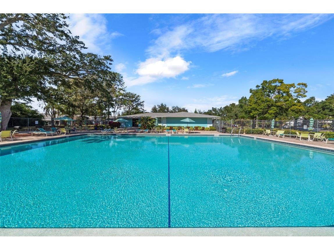 3277 Fox Chase Circle N #105 Palm Harbor FL 34683 TB8451048 image44