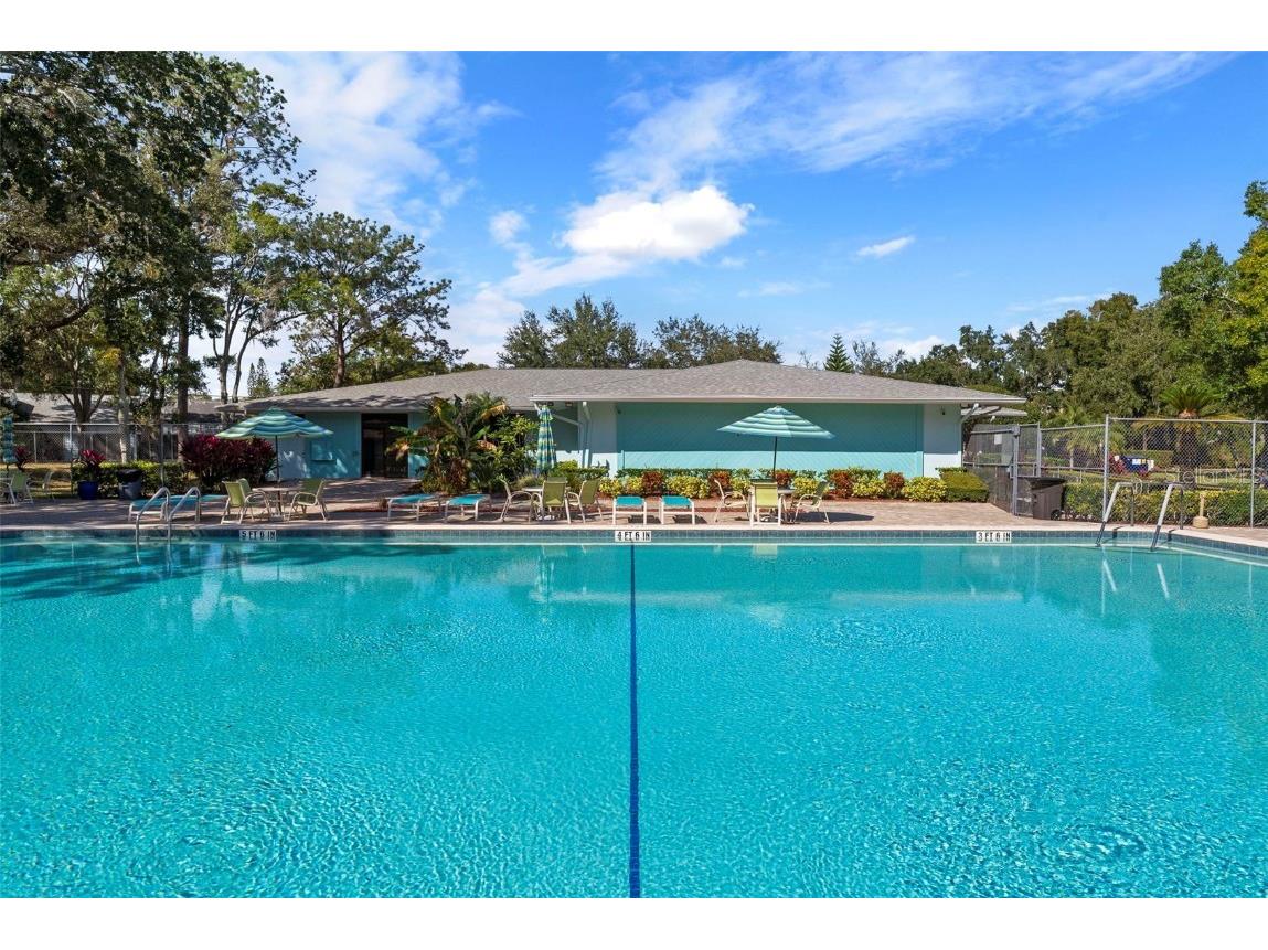 3277 Fox Chase Circle N #105 Palm Harbor FL 34683 TB8451048 image45