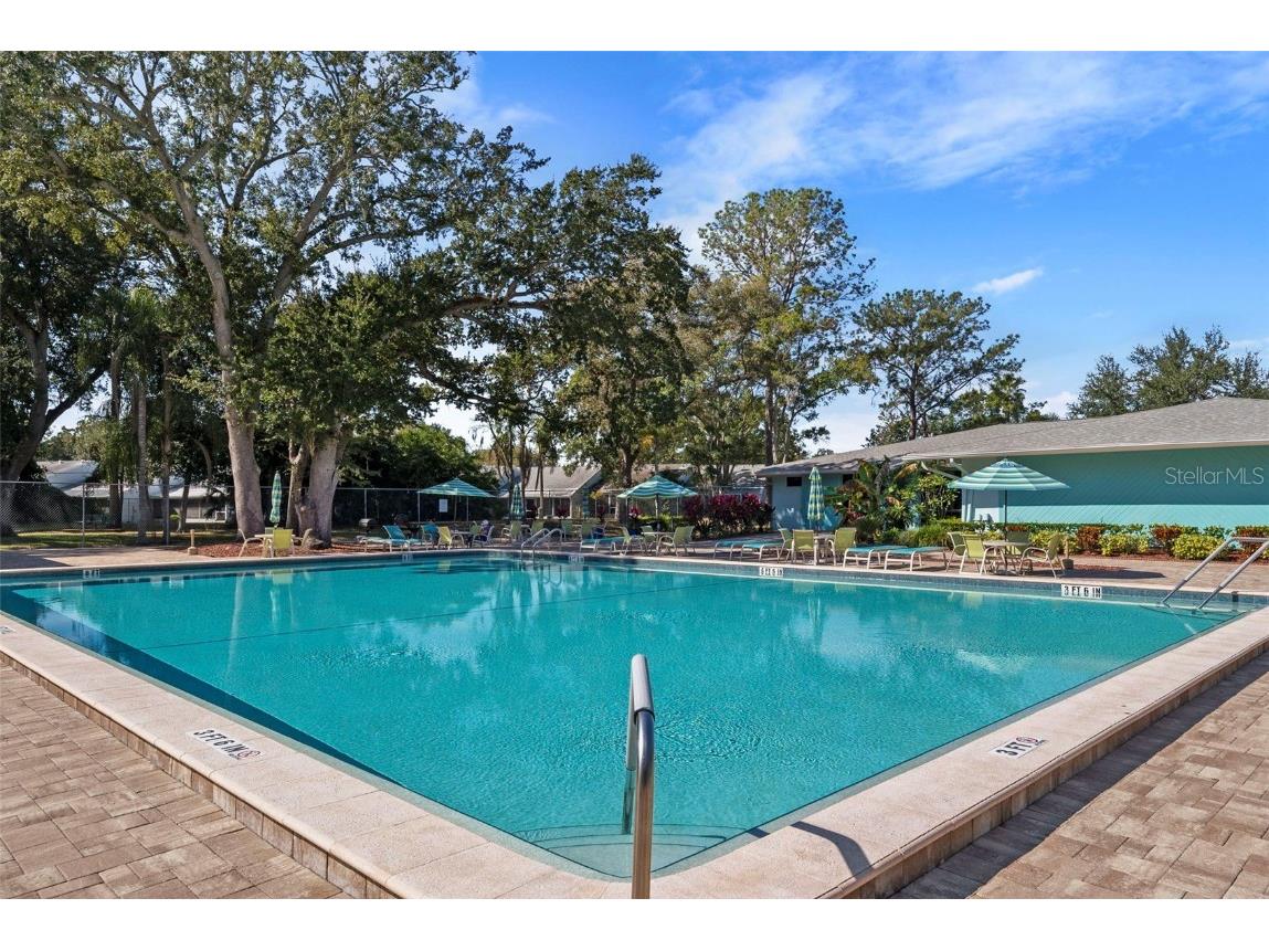 3277 Fox Chase Circle N #105 Palm Harbor FL 34683 TB8451048 image46