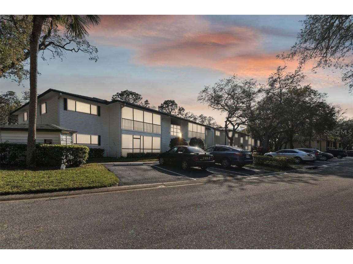 3277 Fox Chase Circle N #203 Palm Harbor FL 34683 T3507945 image1