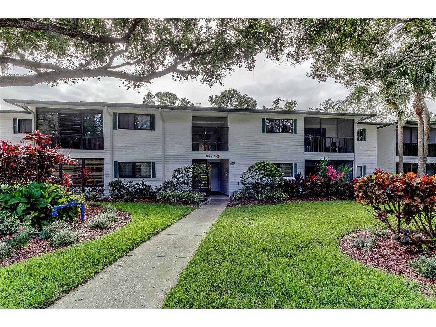 3277 Fox Chase Circle N #206 Palm Harbor FL 34683 TB8443114 image1