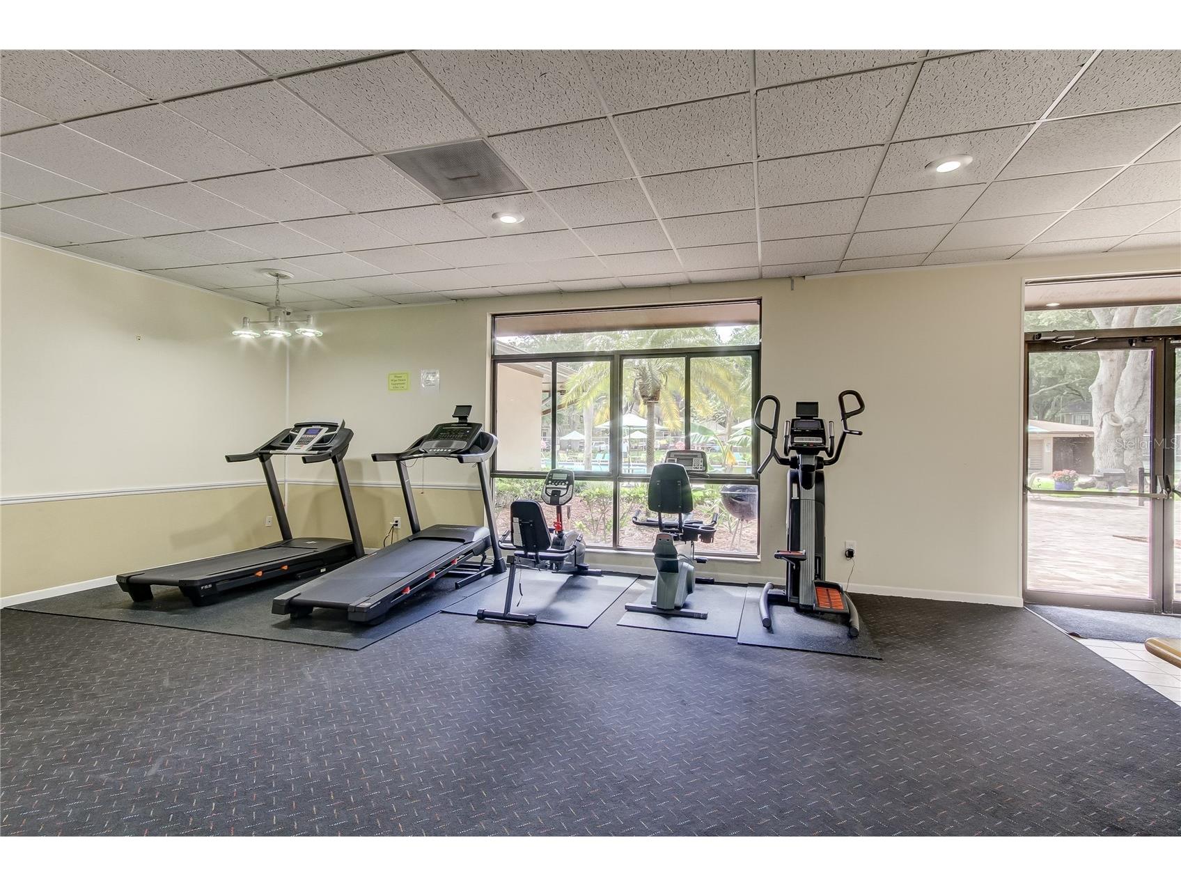 3277 Fox Chase Circle N #206 Palm Harbor FL 34683 TB8443114 image23