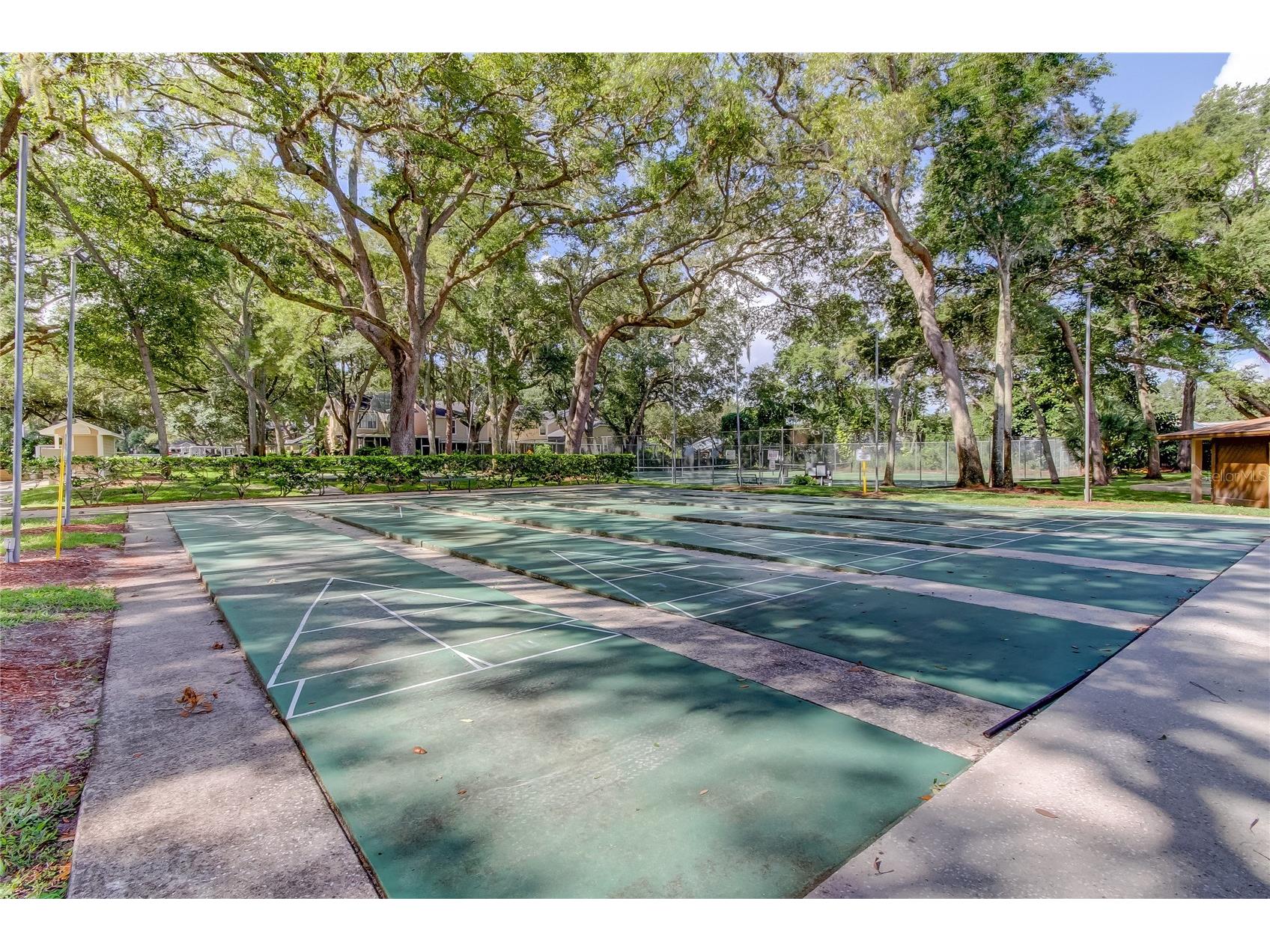 3277 Fox Chase Circle N #206 Palm Harbor FL 34683 TB8443114 image28