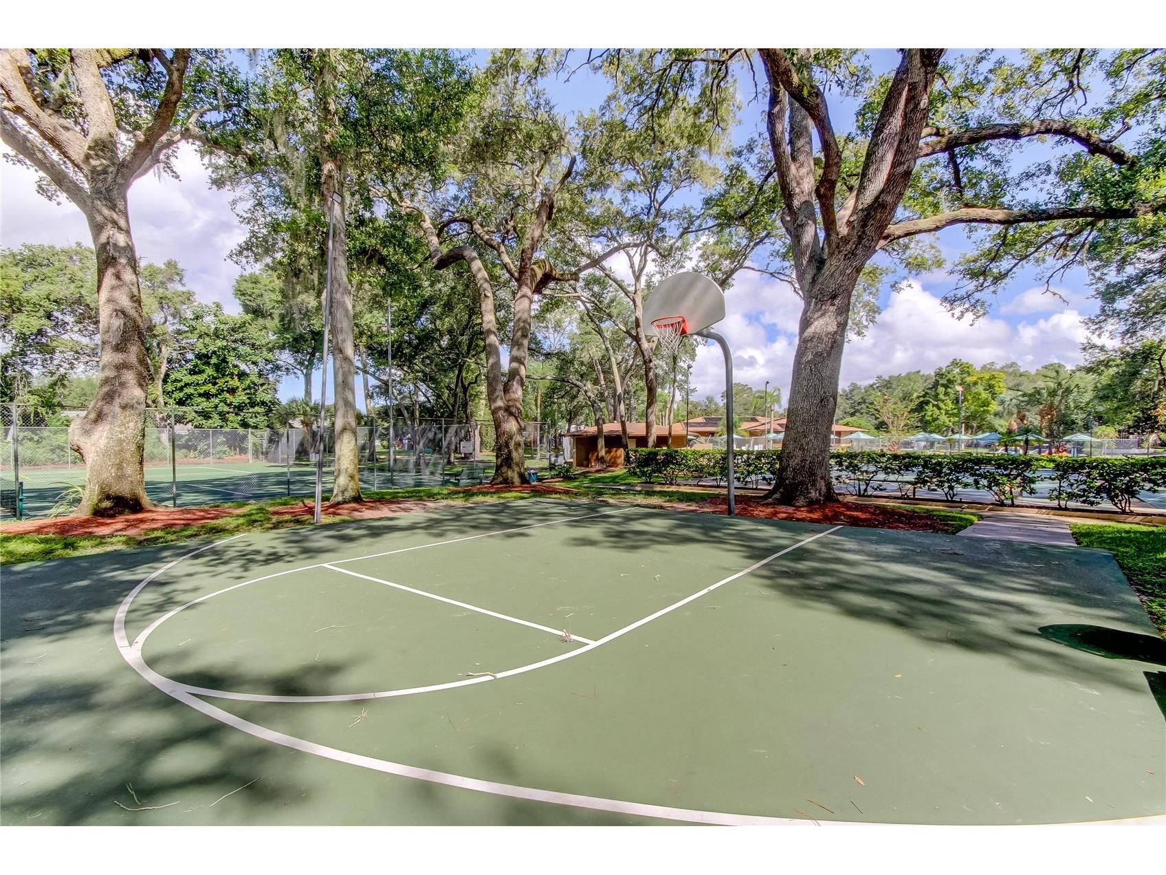 3277 Fox Chase Circle N #206 Palm Harbor FL 34683 TB8443114 image29