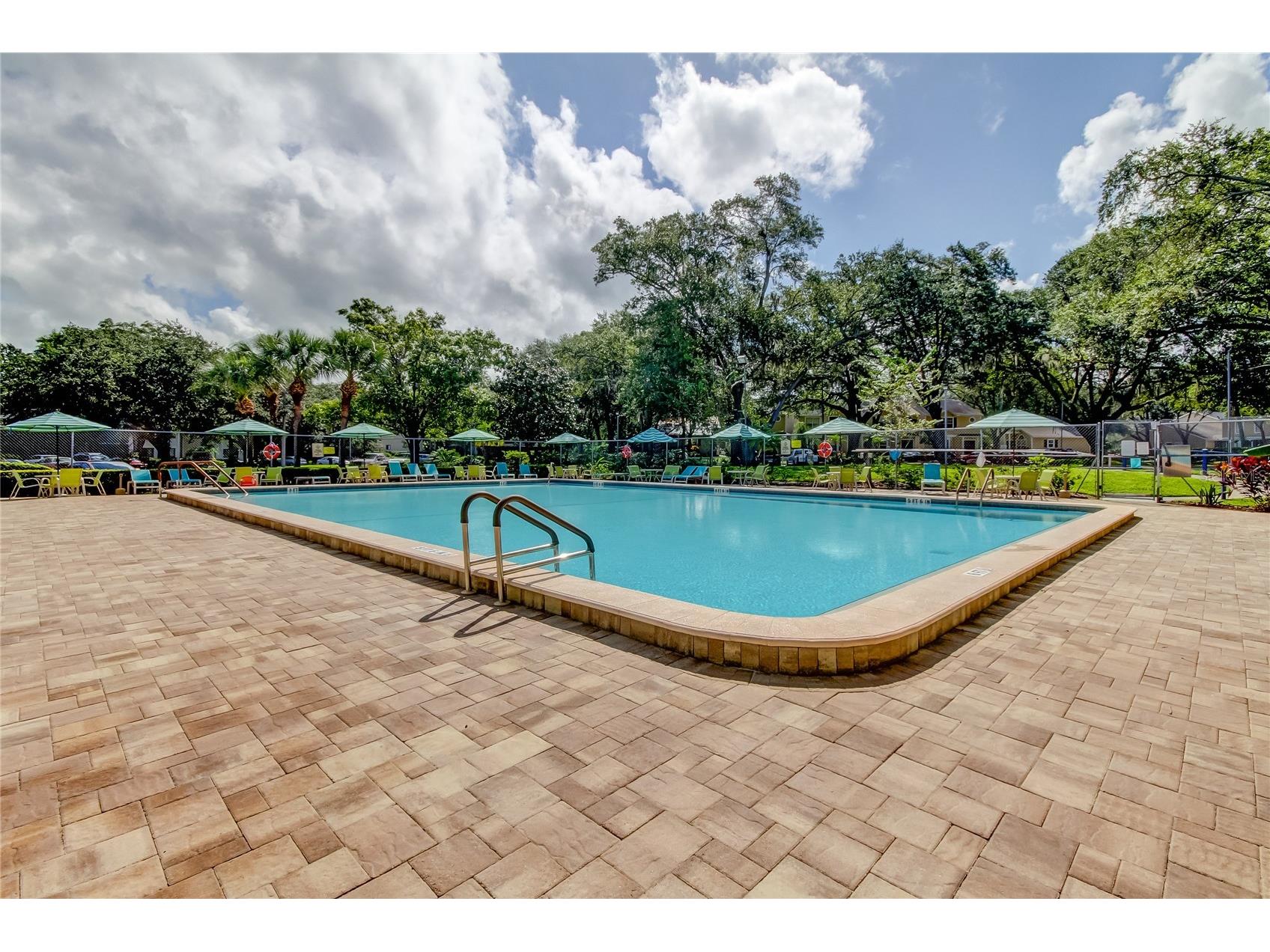 3277 Fox Chase Circle N #206 Palm Harbor FL 34683 TB8443114 image34