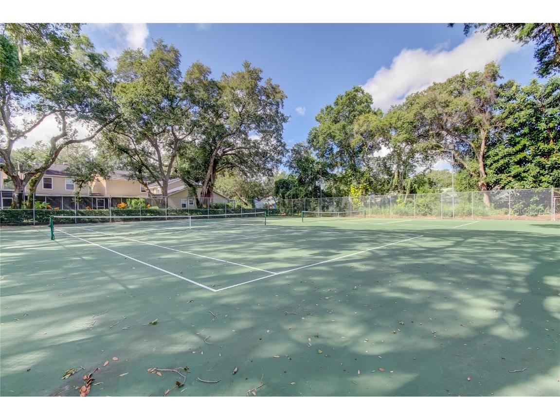 3277 Fox Chase Circle N #206 Palm Harbor FL 34683 TB8443114 image39