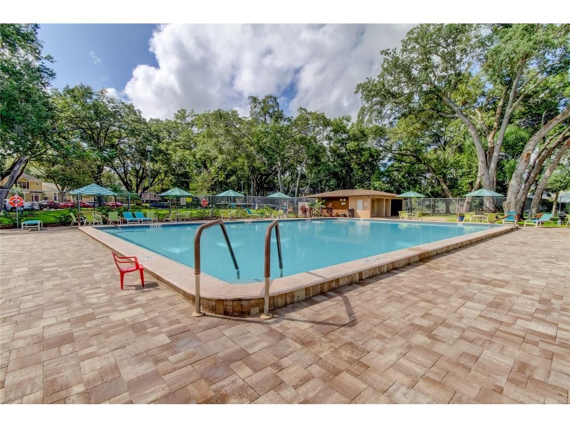 3277 Fox Chase Circle N #206 Palm Harbor FL 34683 TB8443114 image40