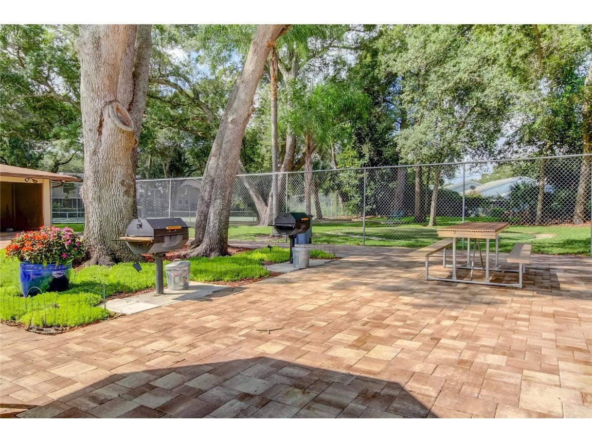 3277 Fox Chase Circle N #206 Palm Harbor FL 34683 TB8443114 image42