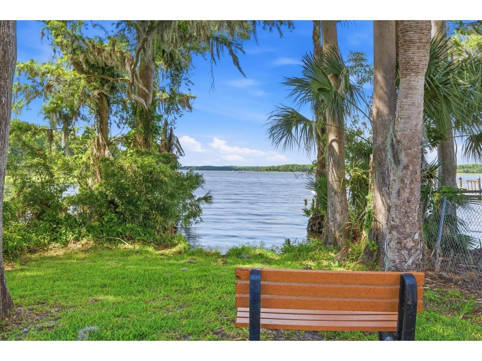 3277 Gorse Court Palm Harbor FL 34684 TB8520177 image31