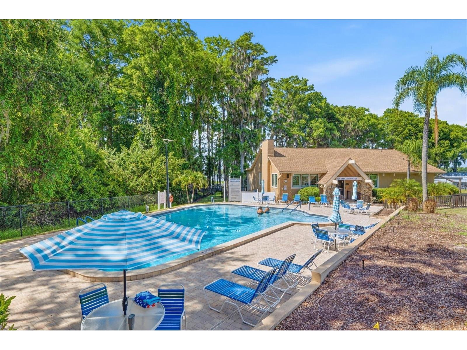 3277 Gorse Court Palm Harbor FL 34684 TB8520177 image32