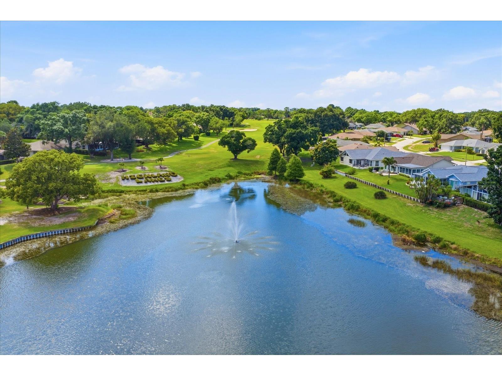 3277 Gorse Court Palm Harbor FL 34684 TB8520177 image34