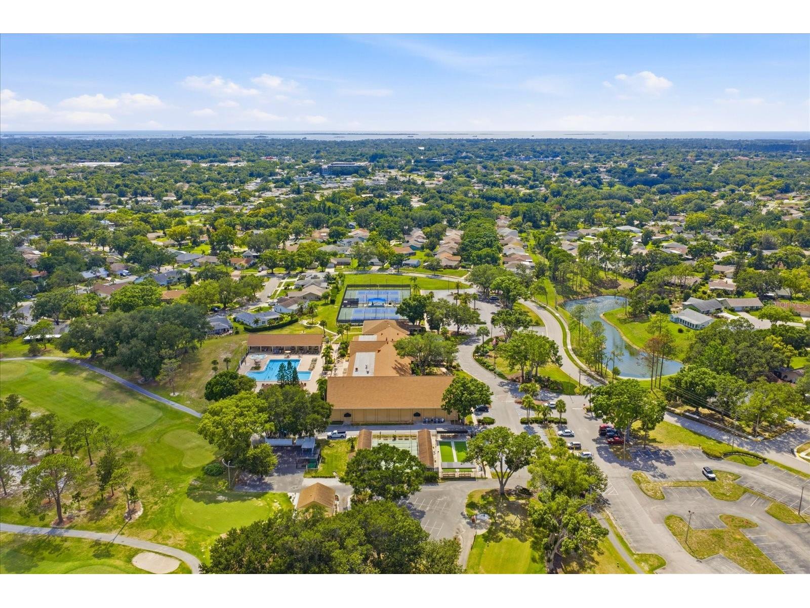 3277 Gorse Court Palm Harbor FL 34684 TB8520177 image35