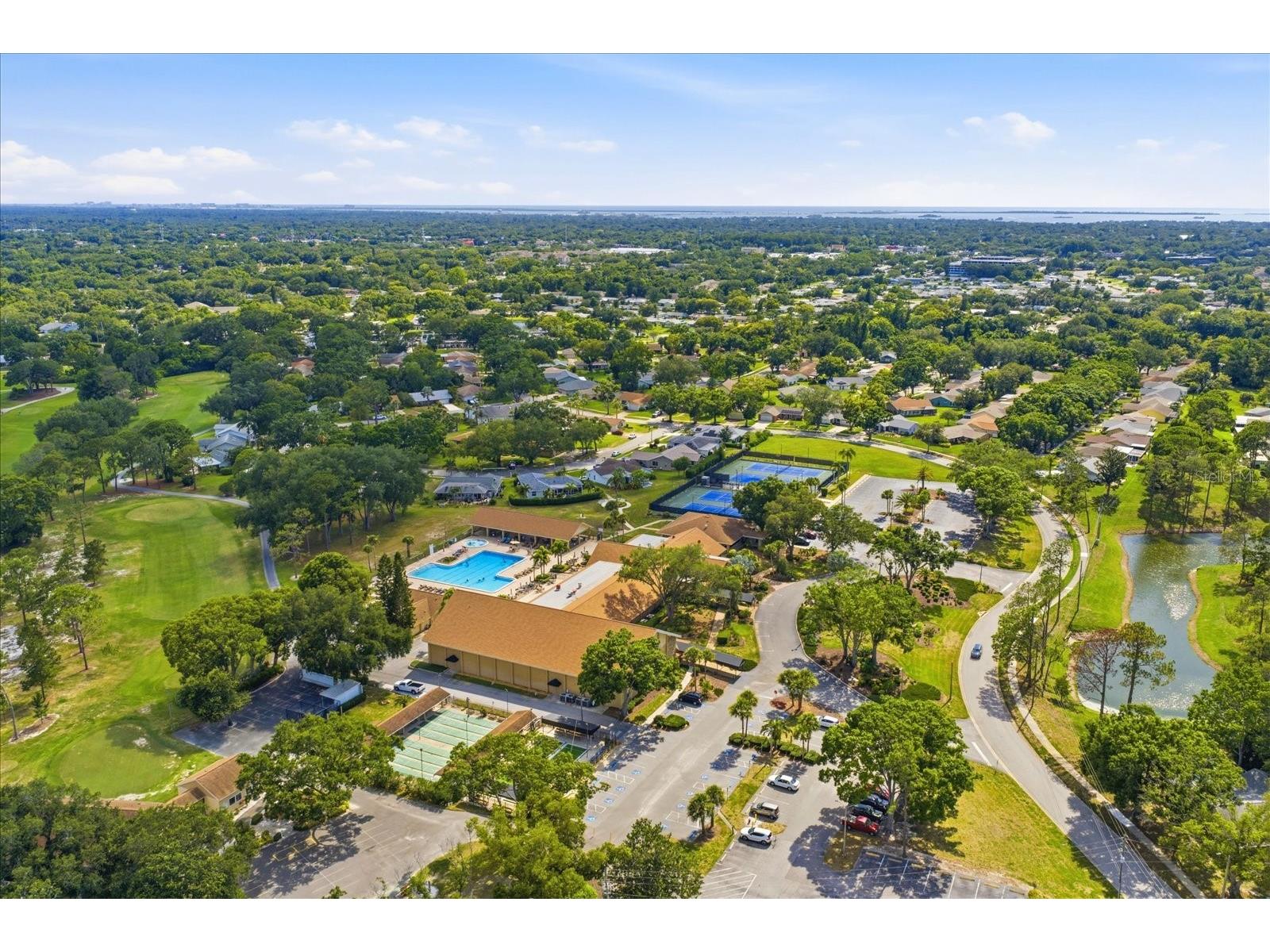 3277 Gorse Court Palm Harbor FL 34684 TB8520177 image36