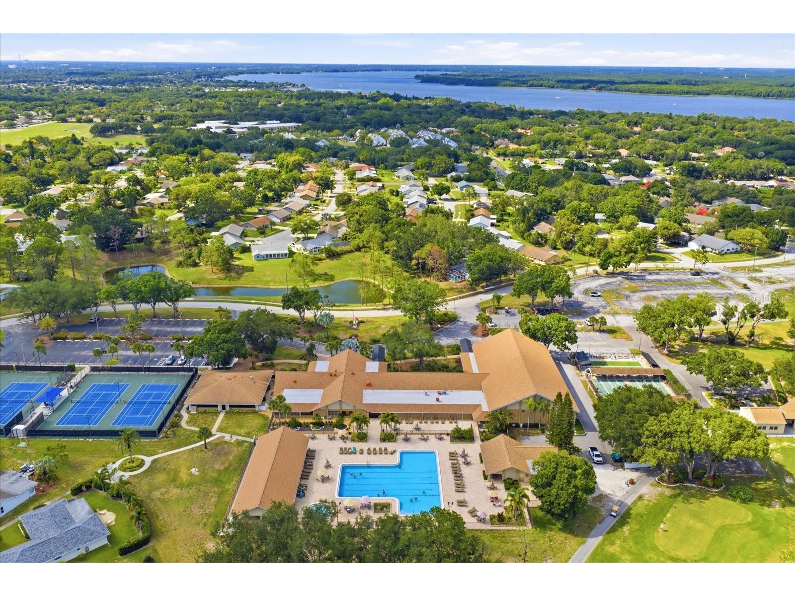 3277 Gorse Court Palm Harbor FL 34684 TB8520177 image38