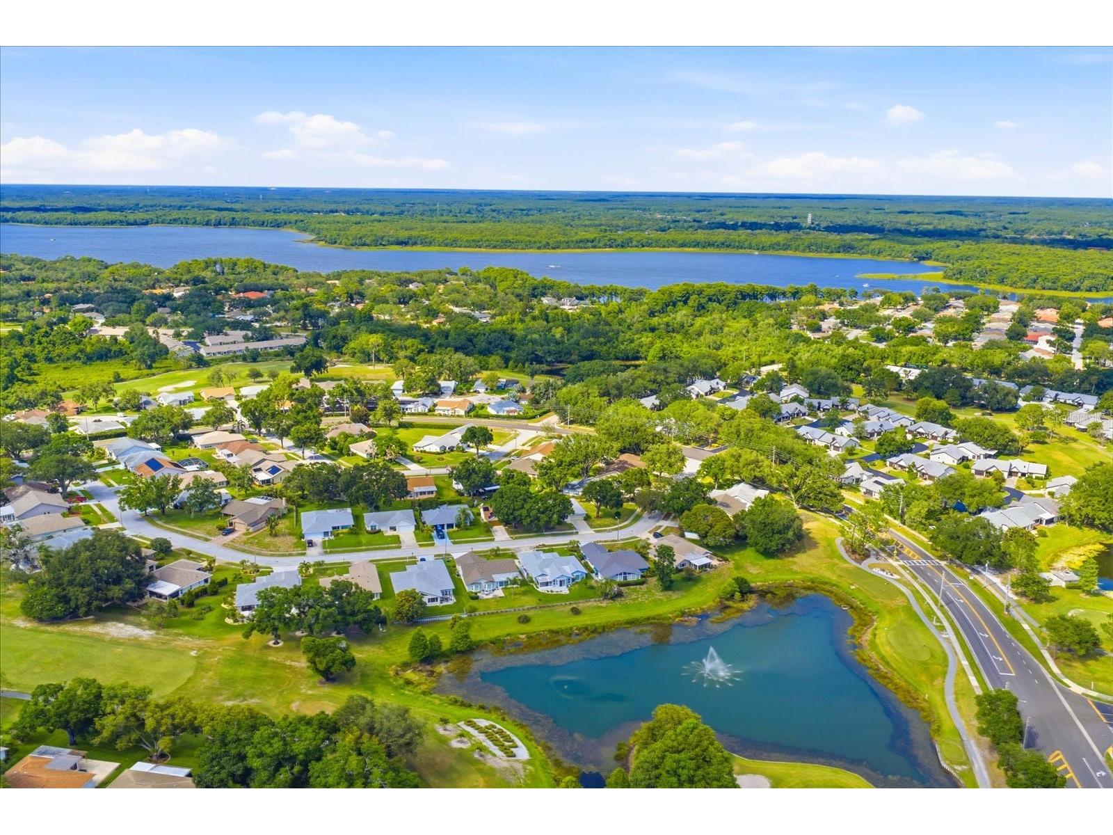 3277 Gorse Court Palm Harbor FL 34684 TB8520177 image39