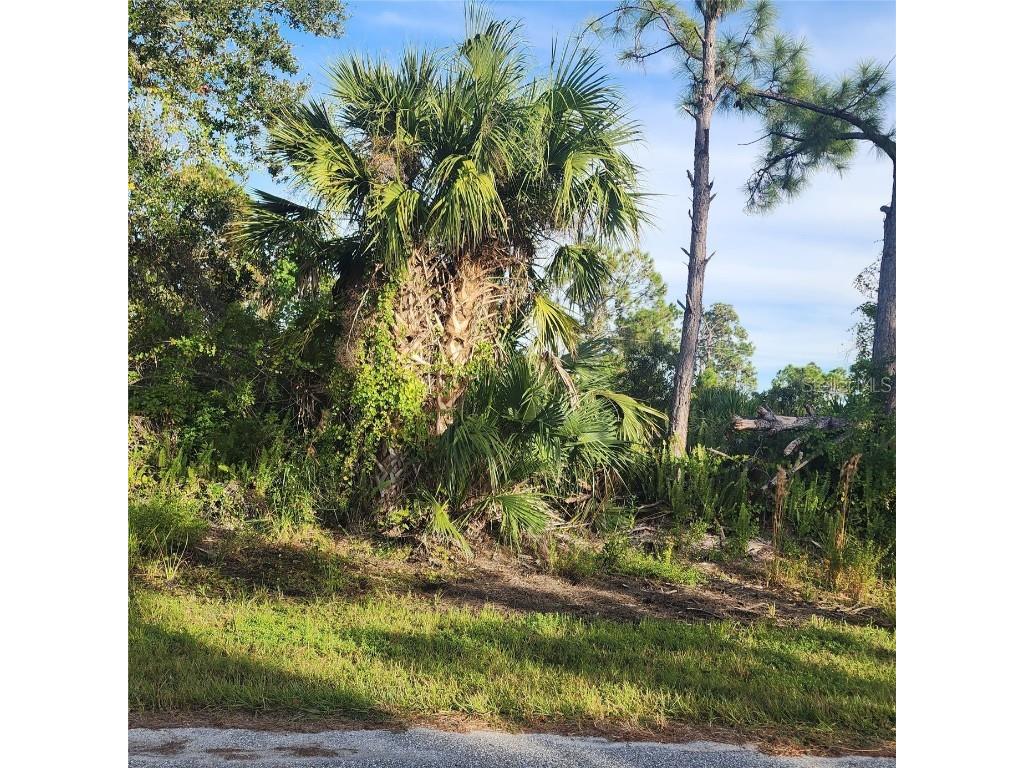 3278 Callisto Street Port Charlotte FL 33981 C7517303 image1