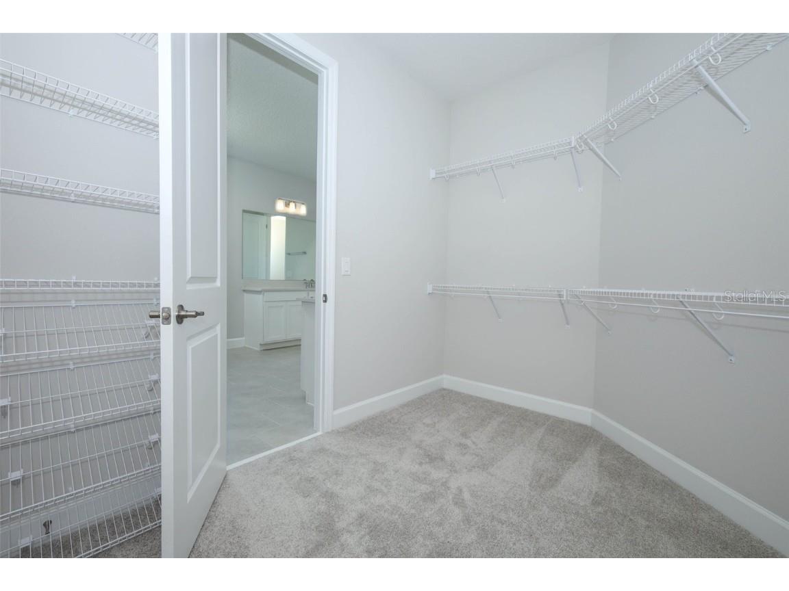 3279 Roseville Drive Apopka FL 32712 O6347709 image42