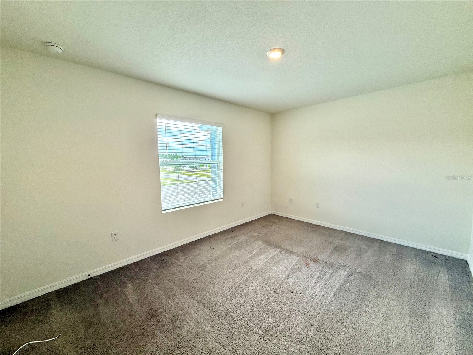 32794 Pez Landing Lane Wesley Chapel FL 33543 TB8505225 image15