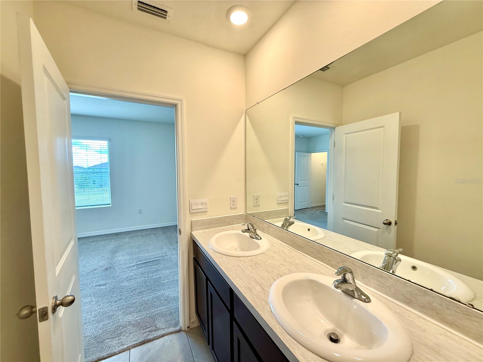32794 Pez Landing Lane Wesley Chapel FL 33543 TB8505225 image20