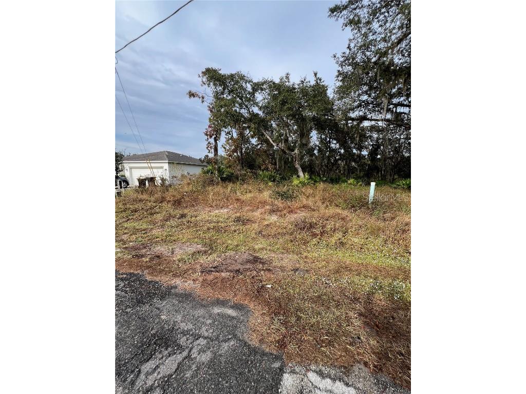 328 Alewife Lane Kissimmee FL 34759 S5139616 image1