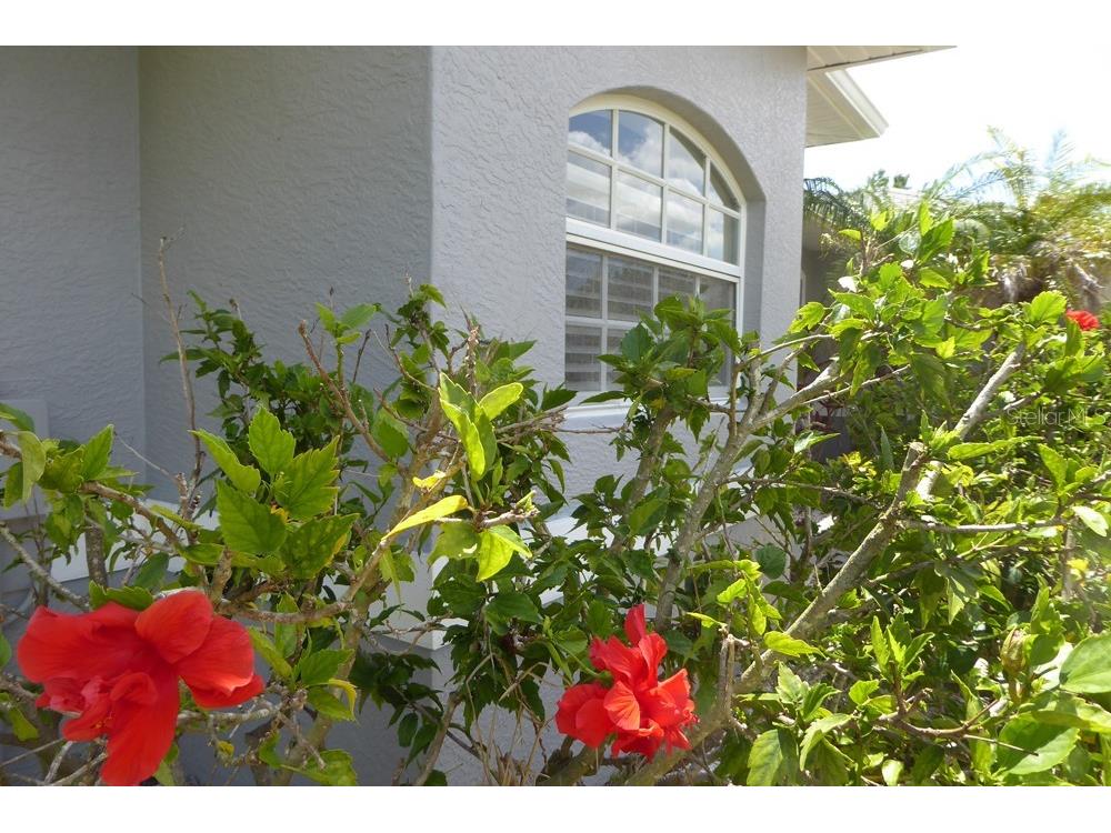 328 Baytree Drive Rotonda West FL 33947 - BUTTERFORD WATERWAY D6139784 image4